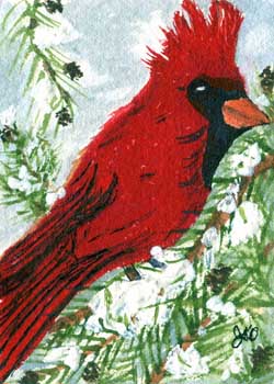 "Cardinal" by Jane Kraeuche Olson, New Glarus WI - Watercolor